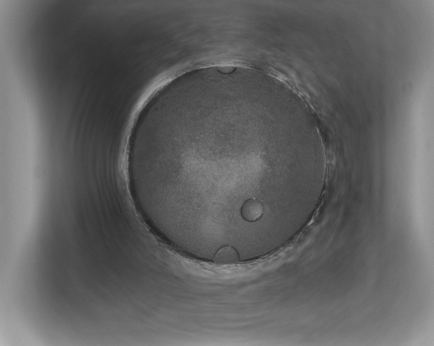 X0000112910006200908241215