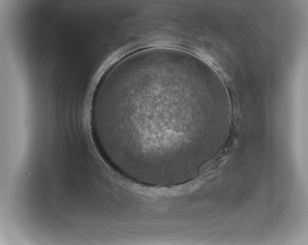 X0000112910007200908241215