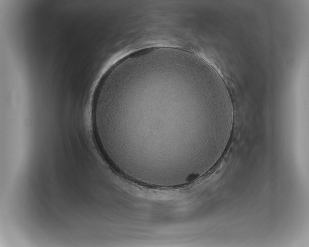 X0000112910008200908241215