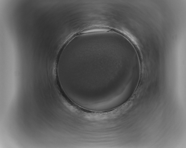 X0000112910009200908241215