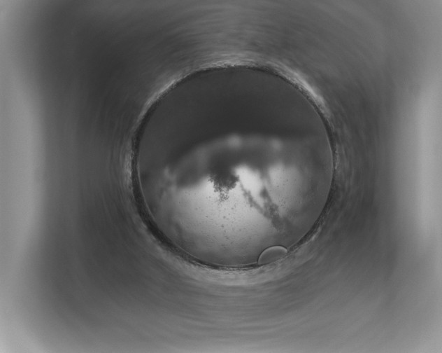 X0000112910010200908241215