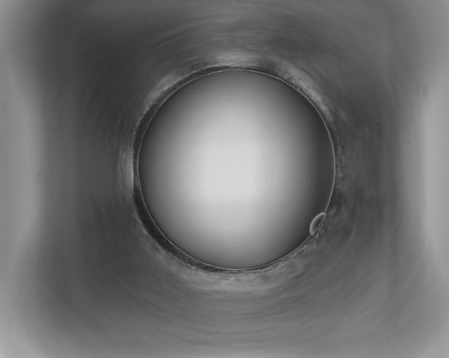 X0000112910011200908241215