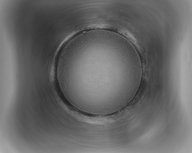 X0000112910012200908241215