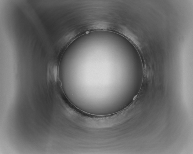 X0000112910013200908241215