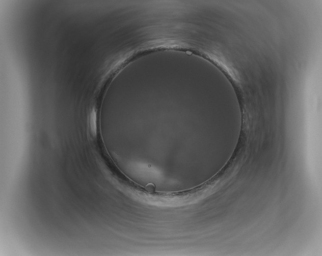 X0000112910014200908241215