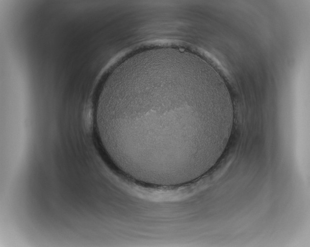 X0000112910016200908241215