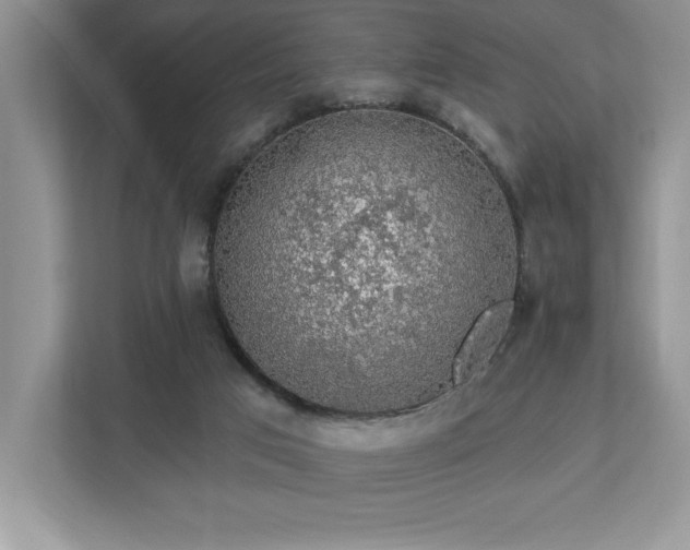 X0000112910017200908241215