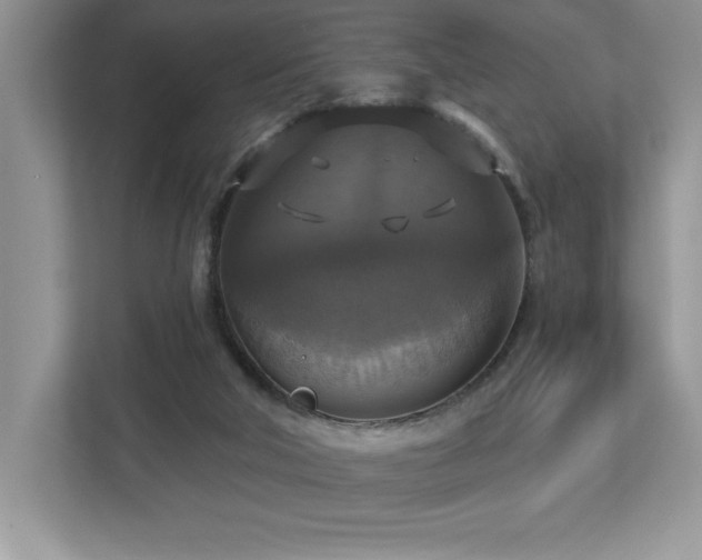 X0000112910018200908241215