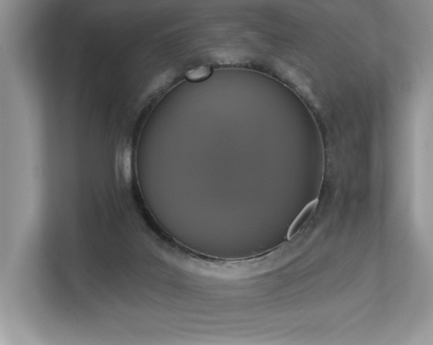 X0000112910019200908241215