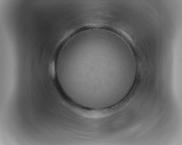 X0000112910020200908241215