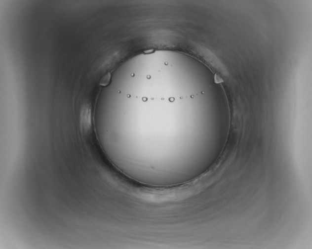 X0000112910021200908241215