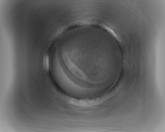 X0000112910022200908241215