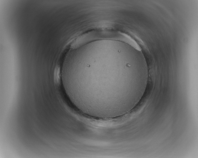 X0000112910024200908241215