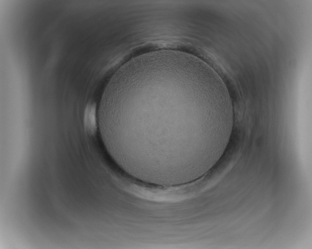 X0000112910028200908241215