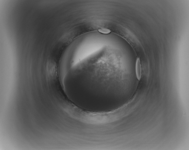 X0000112910029200908241215