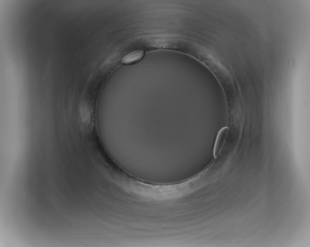 X0000112910031200908241215