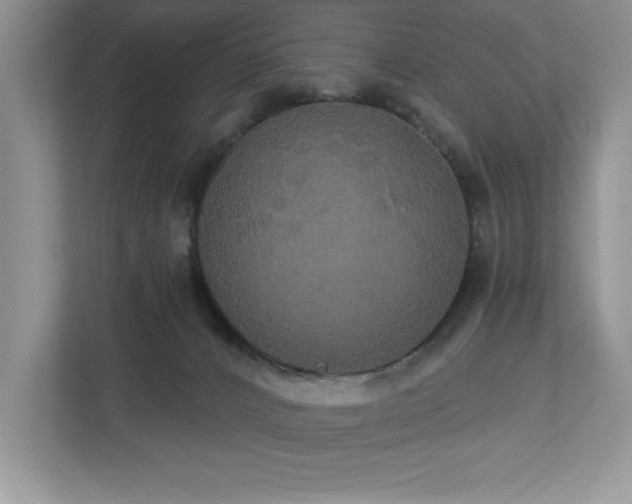 X0000112910032200908241215