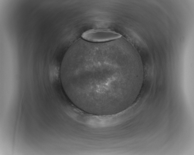 X0000112910033200908241215