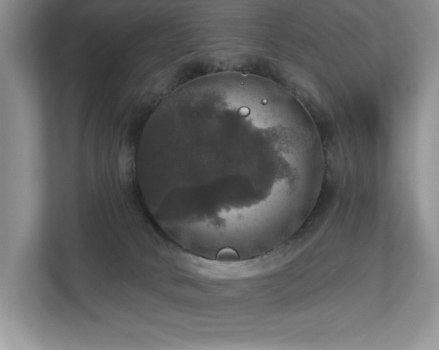 X0000112910034200908241215