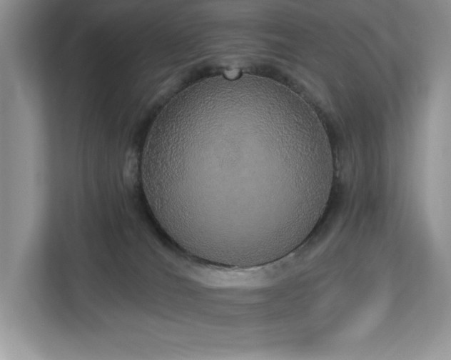 X0000112910036200908241215