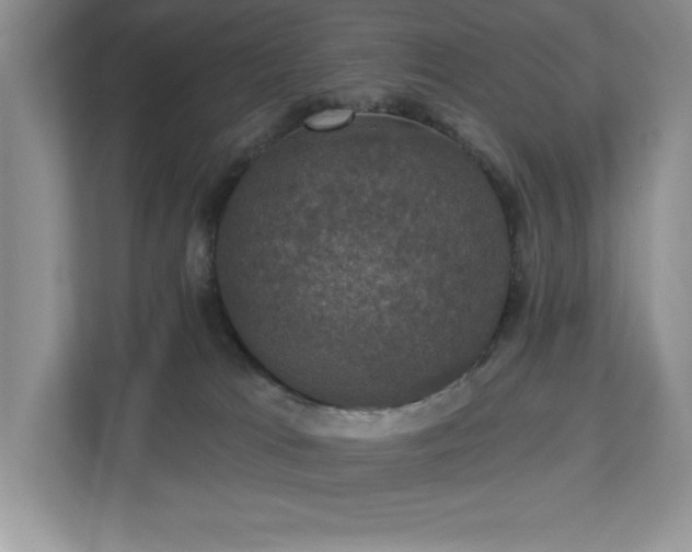 X0000112910037200908241215