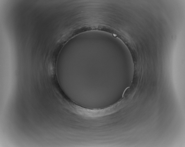 X0000112910039200908241215