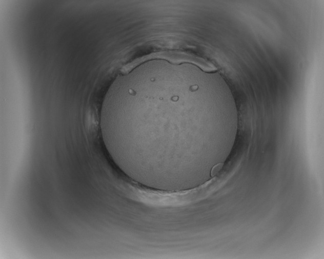 X0000112910040200908241215