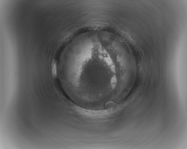 X0000112910042200908241215