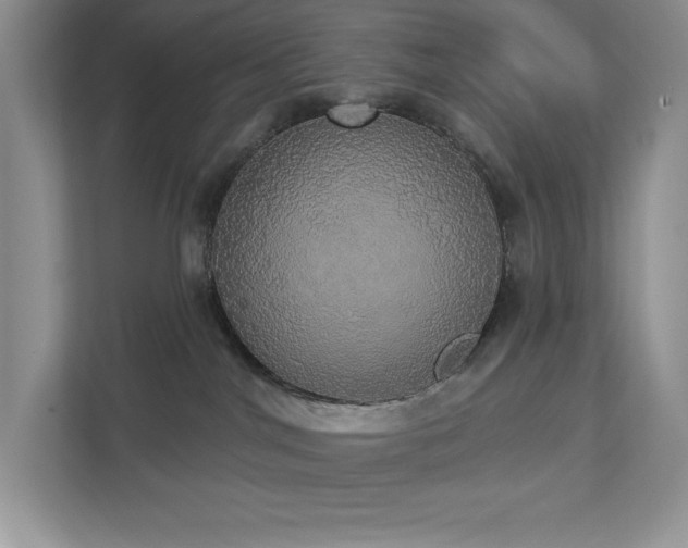 X0000112910044200908241215