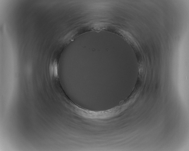 X0000112910046200908241215