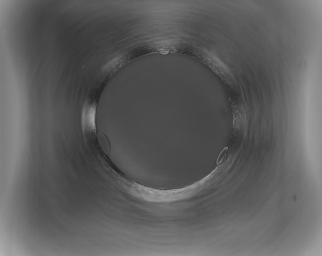 X0000112910047200908241215