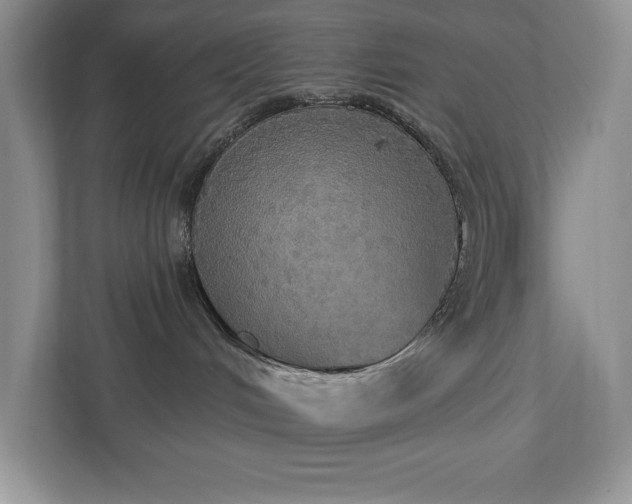 X0000112910048200908241215