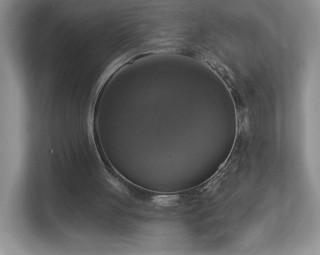 X0000112910051200908241214