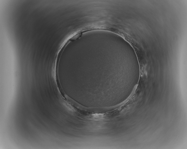 X0000112910052200908241214