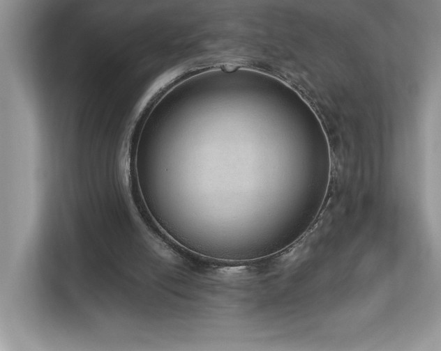 X0000112910054200908241214