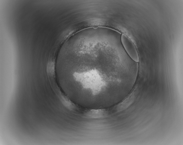 X0000112910057200908241214