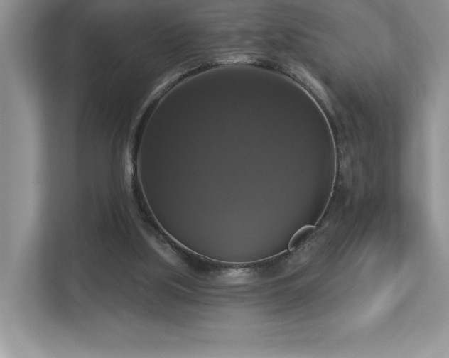 X0000112910059200908241214