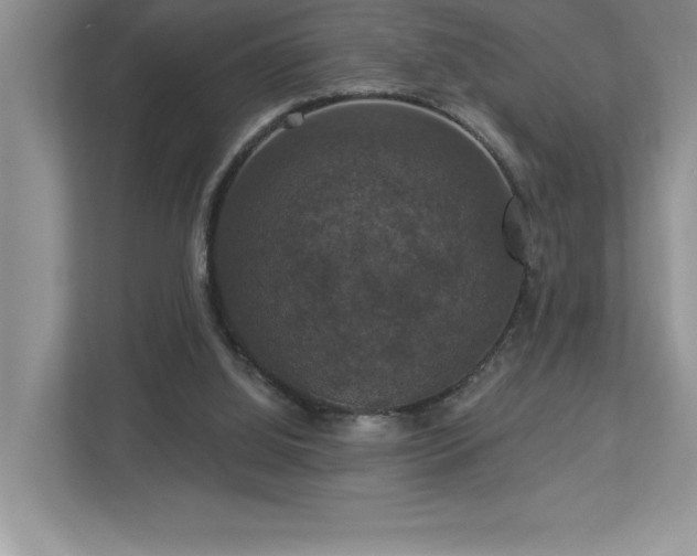 X0000112910060200908241214