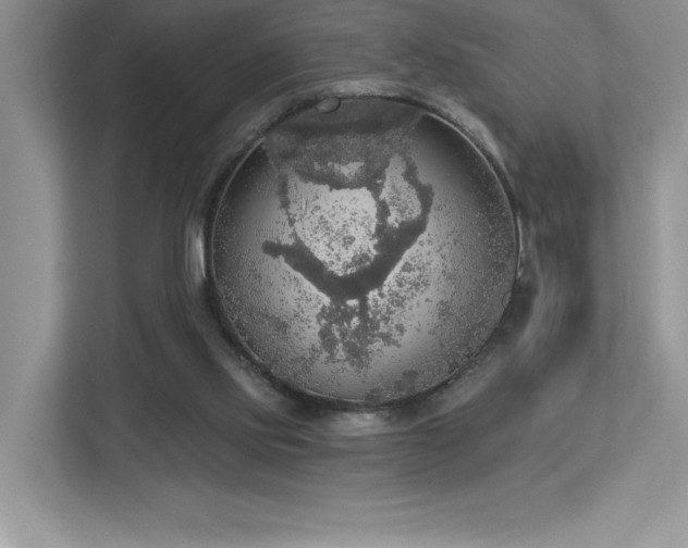 X0000112910061200908241214