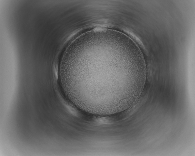 X0000112910062200908241214