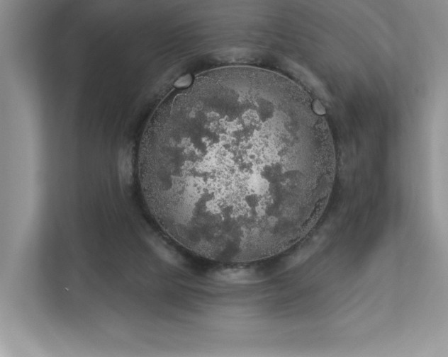 X0000112910065200908241214