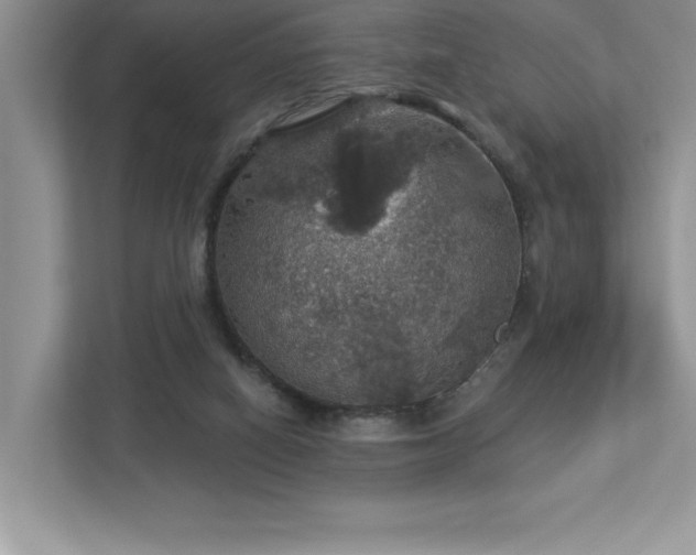 X0000112910066200908241214