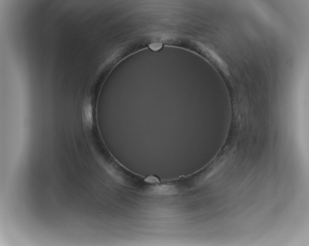 X0000112910067200908241214