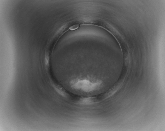 X0000112910072200908241214