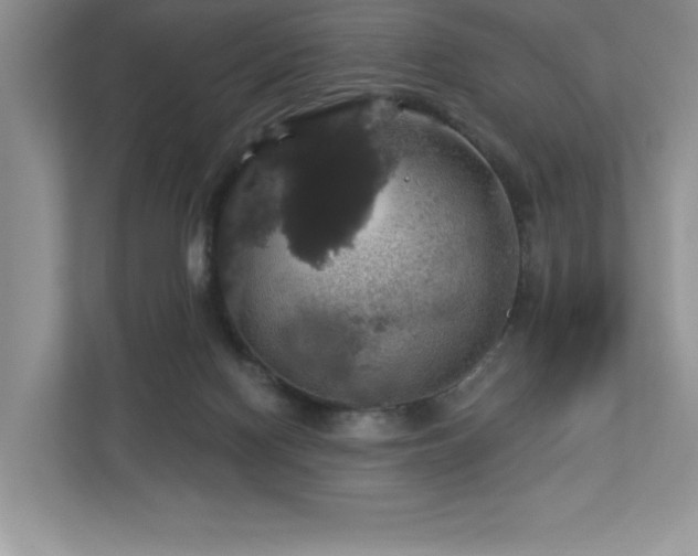 X0000112910074200908241214