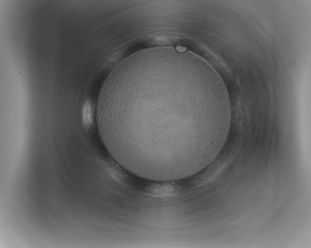 X0000112910075200908241214