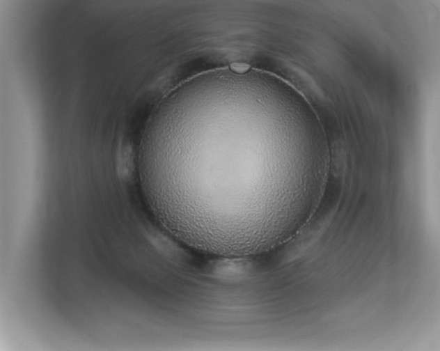 X0000112910077200908241214