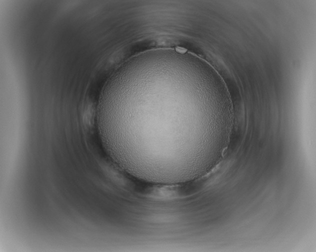 X0000112910078200908241214