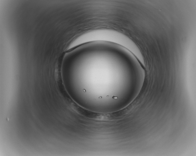 X0000112910080200908241214