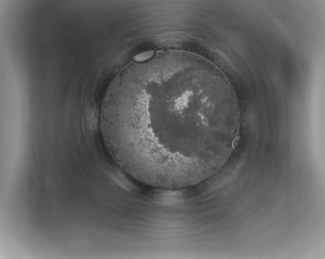 X0000112910081200908241214